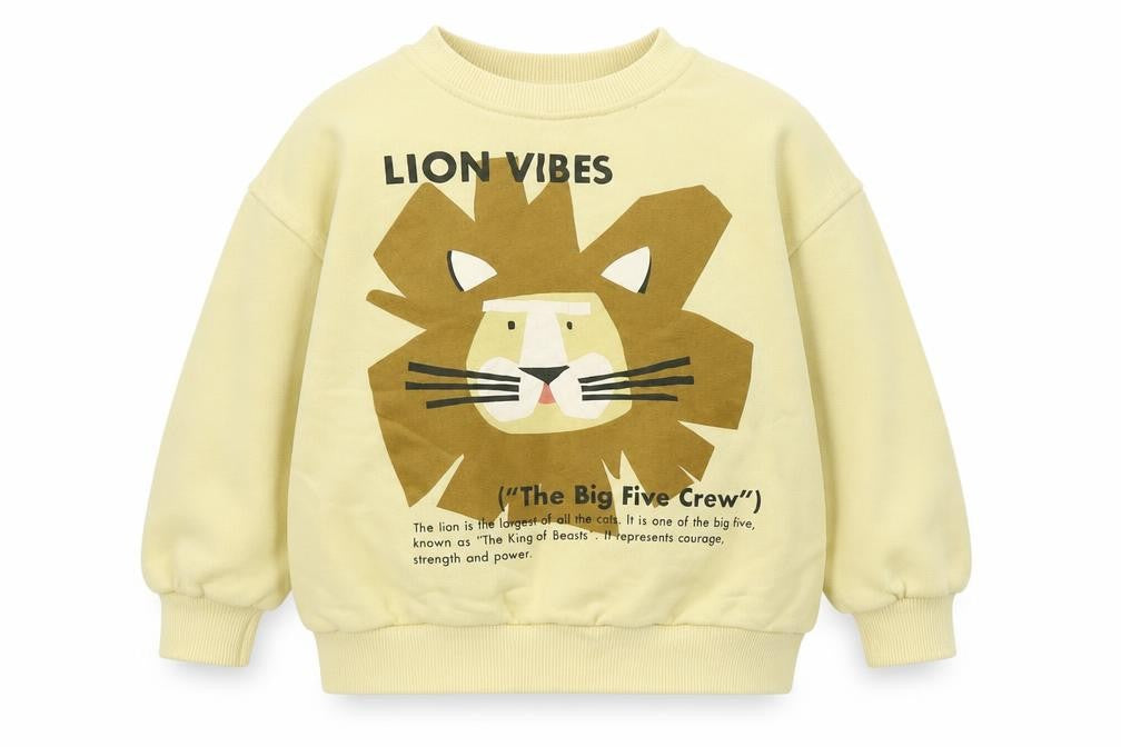 Front view of Zara boys’ beige graphic print sweatshirt 2-3 years pullover
