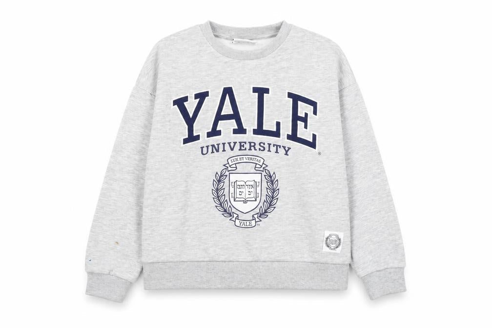 Yale University Grey Crew Neck Kids Sweatshirt 11-12Y