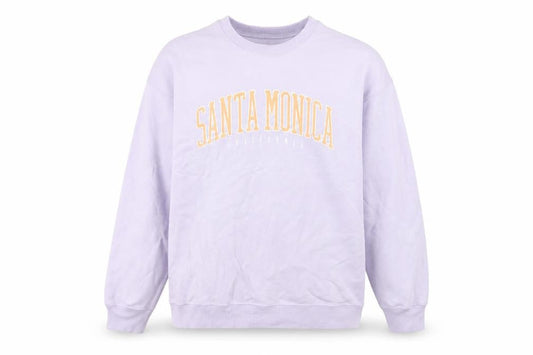 Hollister Men’s Purple Graphic Pullover Sweatshirt S