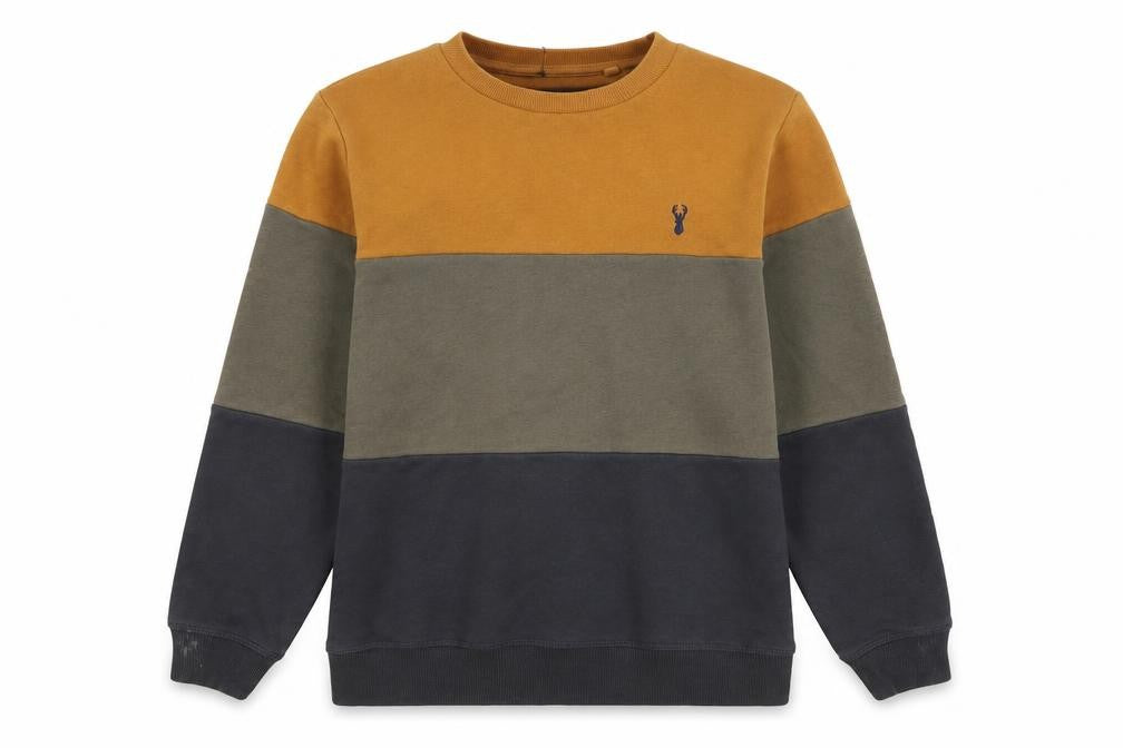 Next Boys Multicolour Pullover Sweatshirt, 12Y, Crew Neck