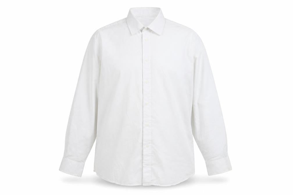 Greenwoods Men's White Regular Fit Long Sleeve Shirt