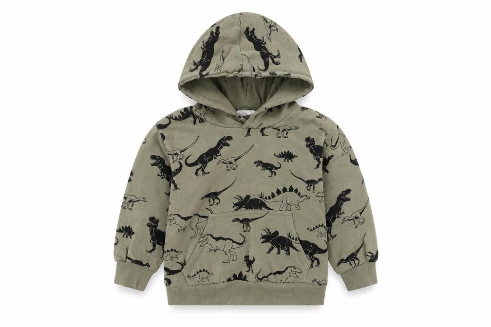 H&M Boys Green Dinosaur Print Pullover Hoodie, 4-5 Years