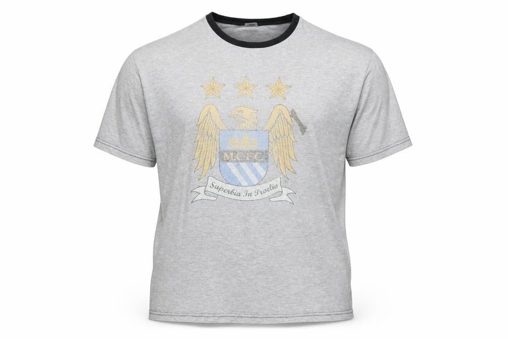 City Grey Logo Men's Large T-Shirt
