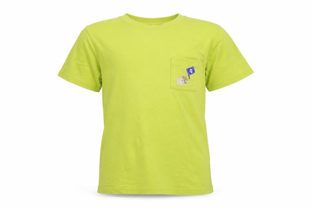 Uniqlo Boys Green T-Shirt - Splatoon, 13 Years
