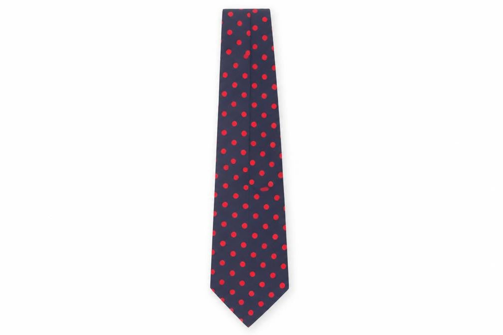 Jonelle Men's Blue Polka Dot Silk Tie One Size