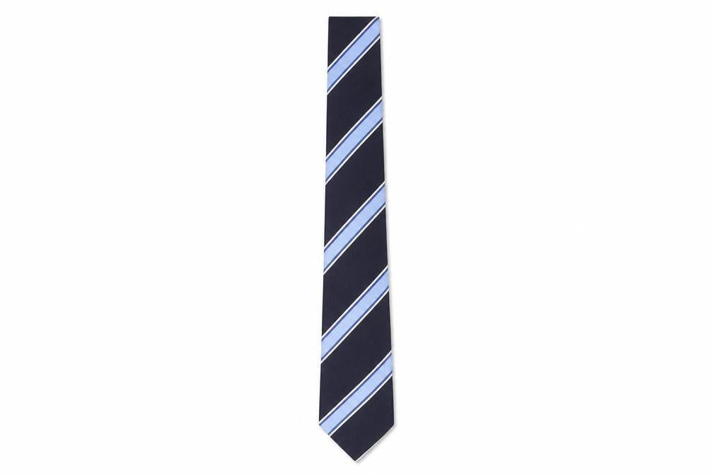Redgreen Men's Blue Striped Silk Slim Tie