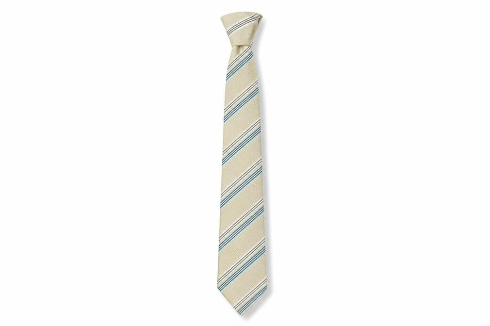 Society of Threads Beige Striped Polyester Men's Tie
