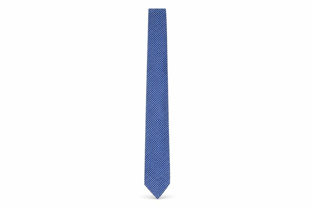 Thomas Nash Men's Blue Slim Plaid Tie