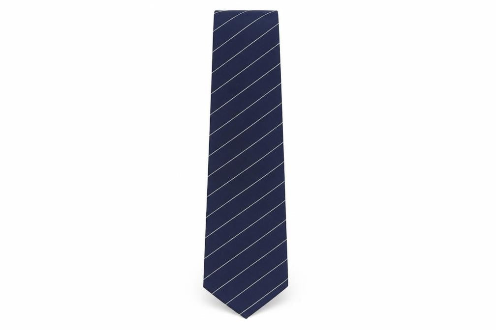 Frangi Men's Blue Striped Silk Tie