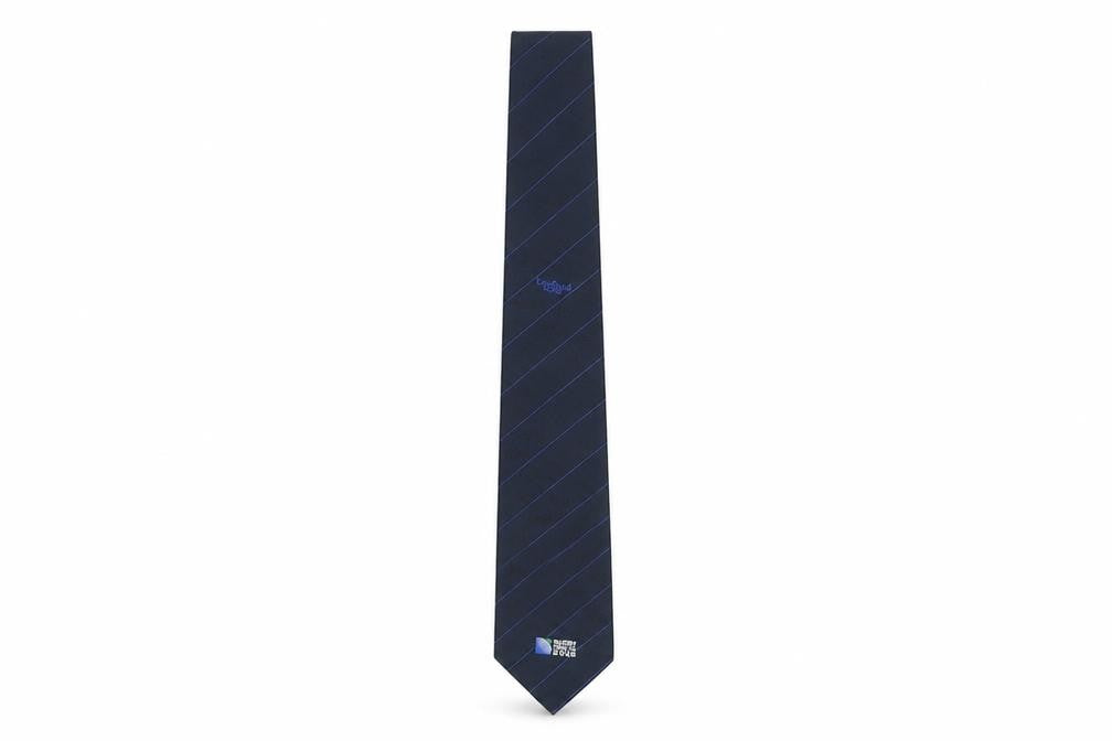 Rugby World Cup Men's Blue Striped Polyester Tie