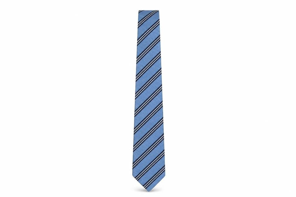 Daniel Hechter Men's Blue Striped Silk Tie