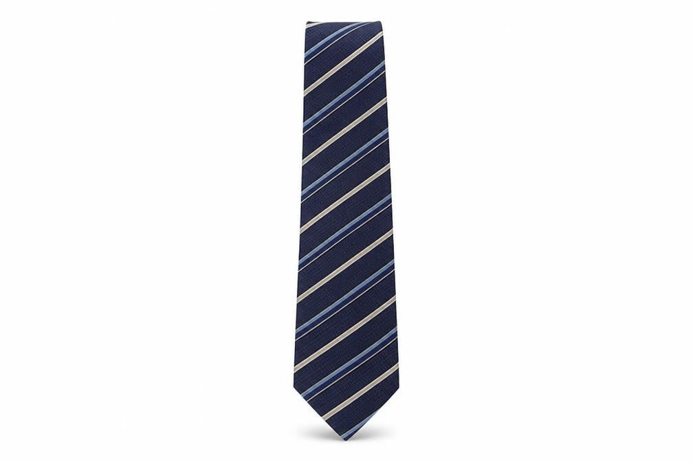 Milano Silk Men's Blue Striped Tie