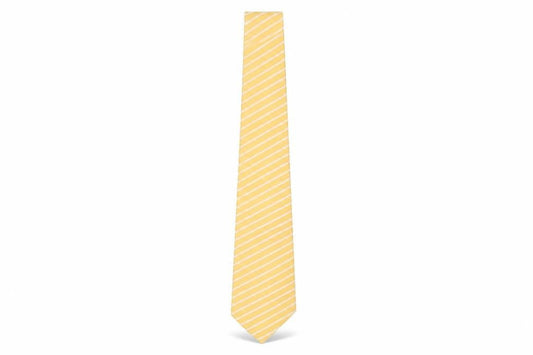 Giorgio Mariani Men's Yellow Striped Silk Tie