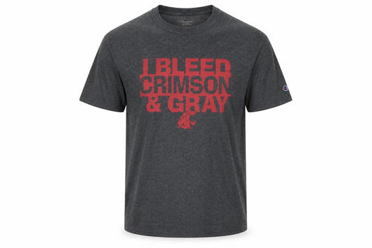Champion Men's Grey College Graphic T-Shirt Size L