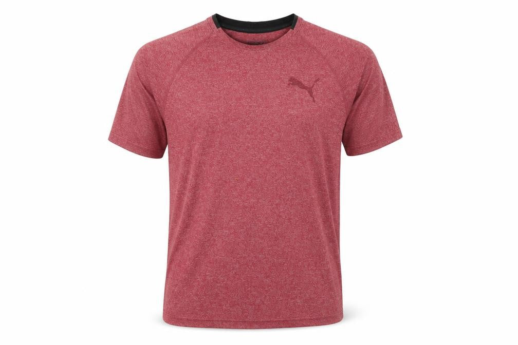 Puma Men's Red T-Shirt M | Gym & Training Activewear