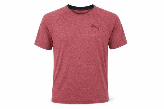 Front view of Puma Men's Red T-Shirt M | Gym & Training Activewear