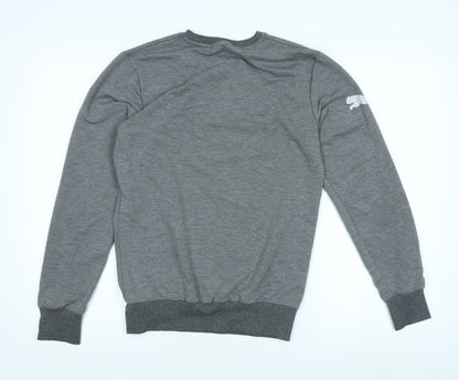 Back view of Puma Men's Grey Logo Sweatshirt M