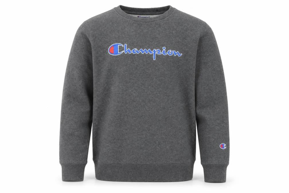 Champion Boys Grey Pullover Sweatshirt L Logo Print Casual