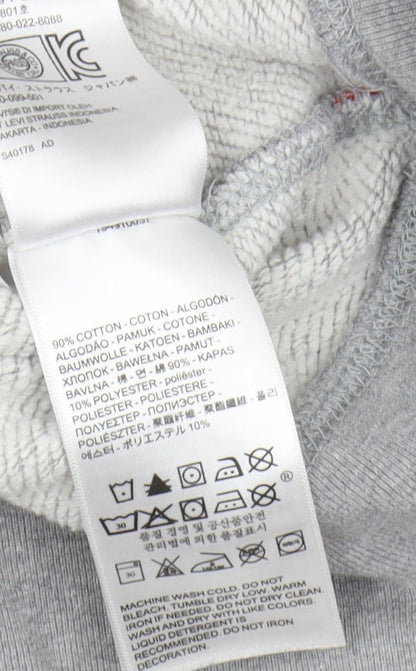 Levi's Men's Grey Pullover Hoodie, Size S