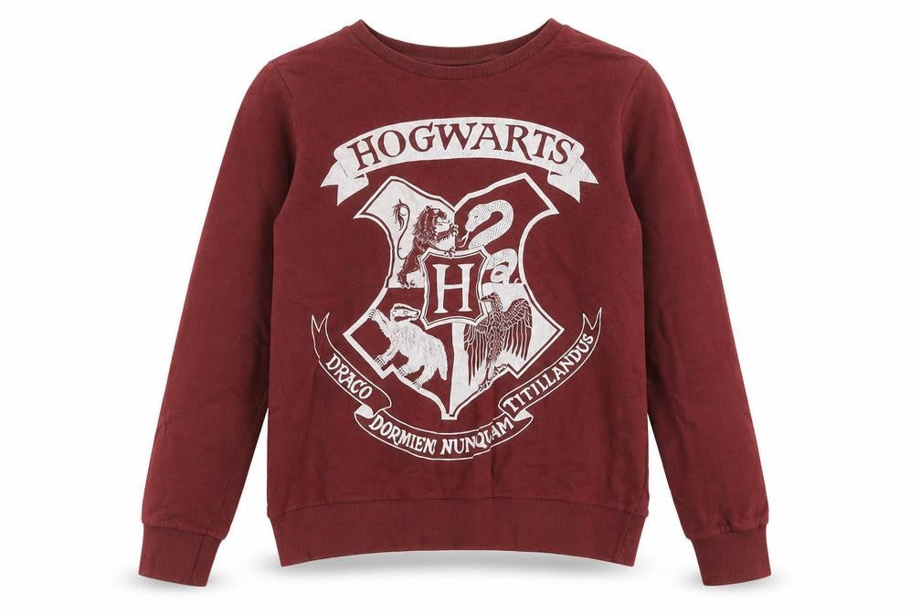 Harry Potter Women's Red Sweatshirt Size 10 Logo Graphic