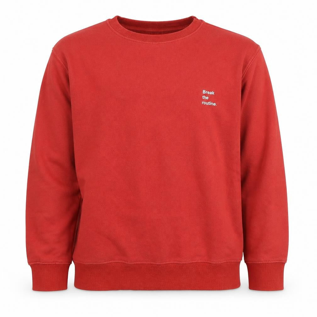 Zara Boys Red Pullover Sweatshirt 11-12 Years Long Sleeve