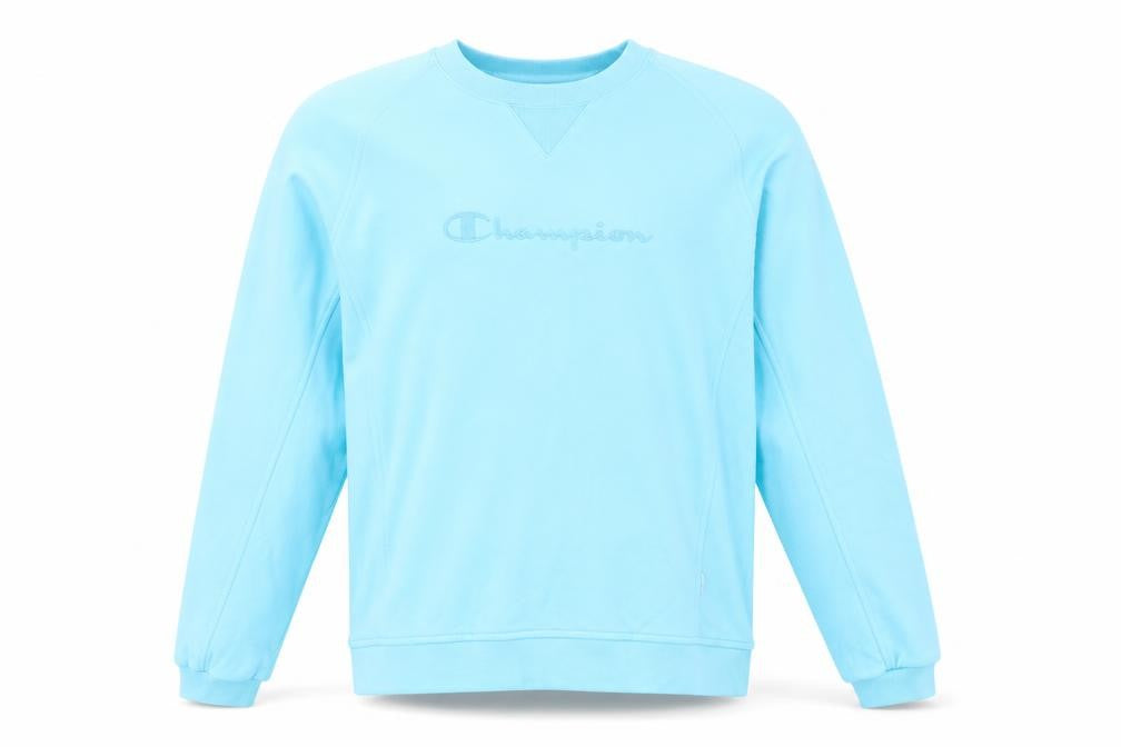 Champion Men's Blue Pullover Sweatshirt, Medium, Logo