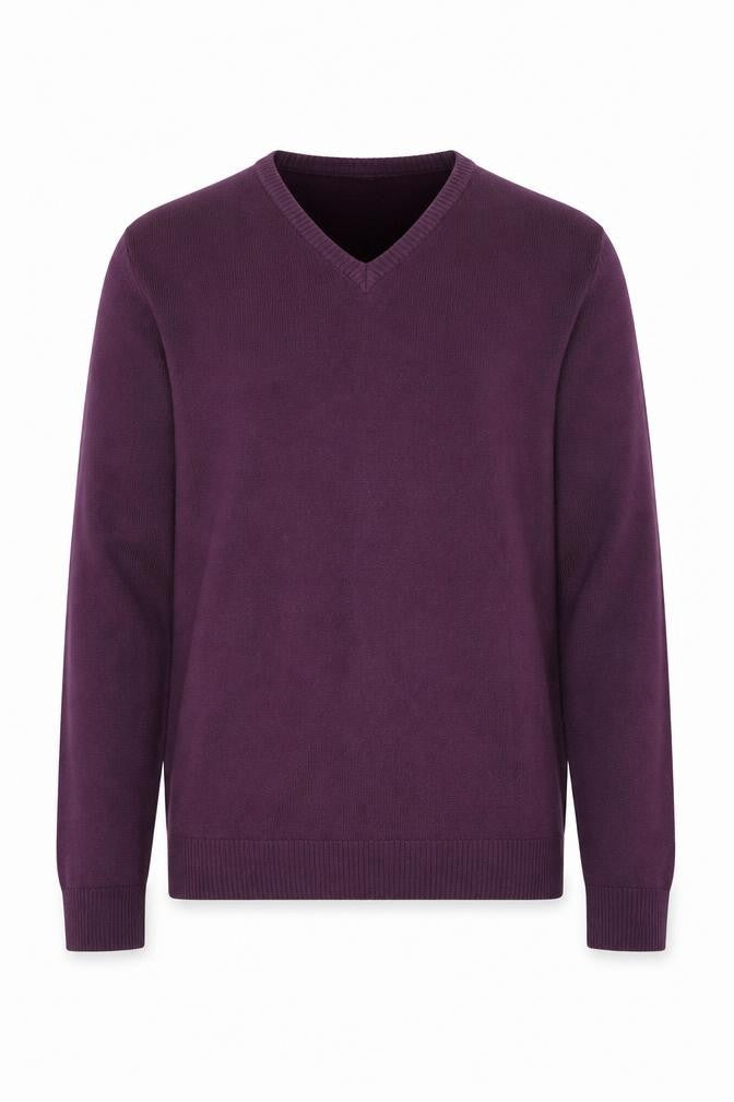 Oak Valley Heritage Men’s Purple V-Neck Pullover L