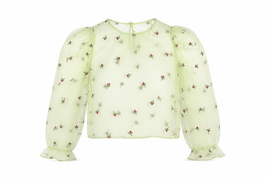 Zara Women's Green Cropped Blouse - Floral Embroidery