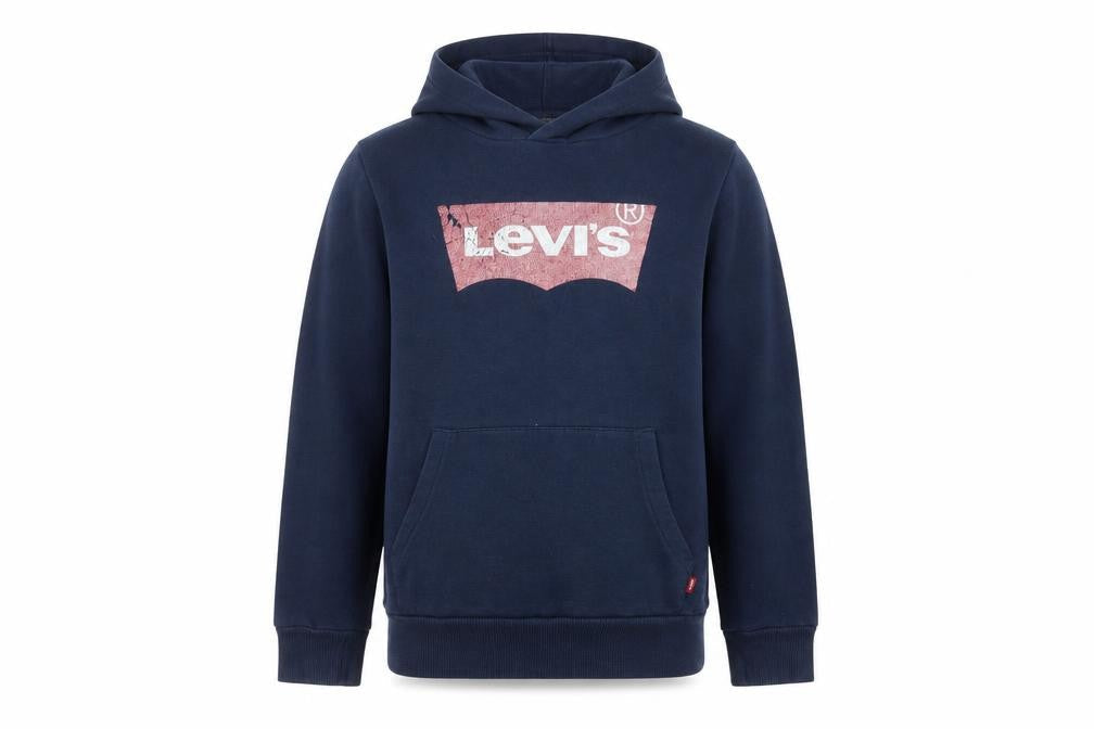 Levi's Boys Blue Pullover Hoodie - 16 Years, Graphic Logo