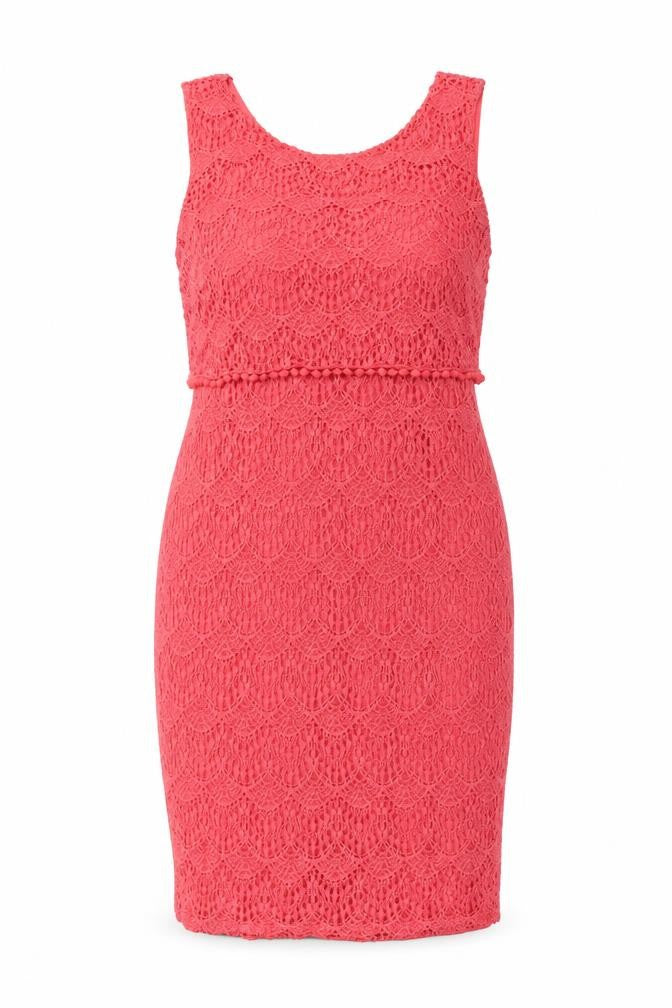 BHS Women's Pink Lace Dress, Size 16 Petites, New