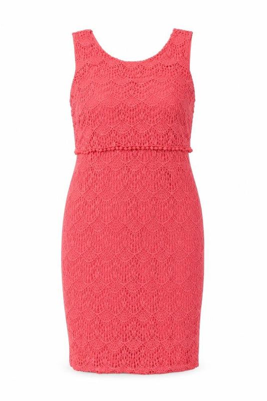 BHS Women's Pink Lace Dress, Size 16 Petites, New