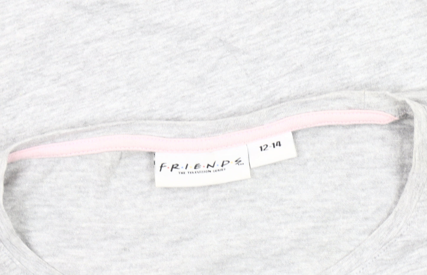 Friends Women's Grey V-Neck T-Shirt Size 12