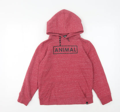 Additional front view of Animal boys’ red pullover hoodie - 10-11 years