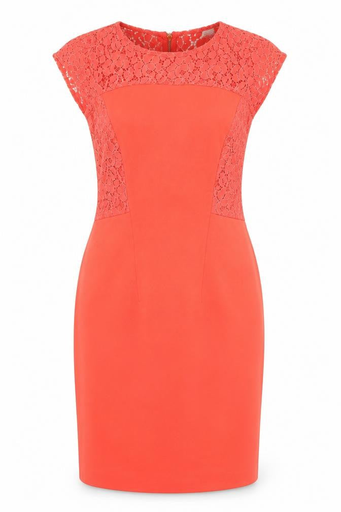 Amari Women's Orange Knee Length Shift Dress