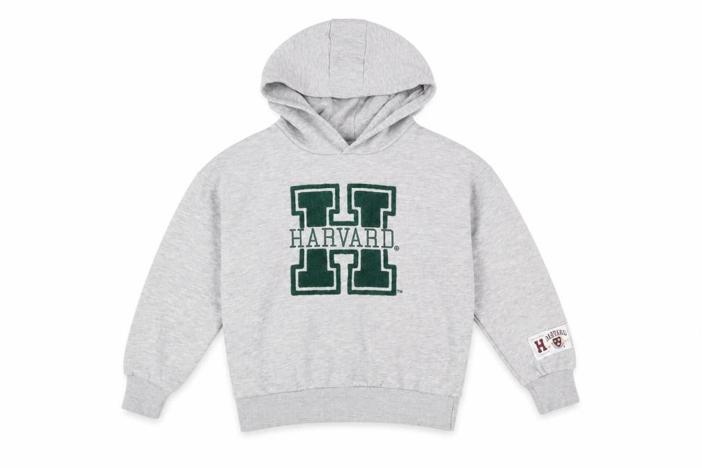Harvard Boys Grey Pullover Hoodie Size 8-9 Years