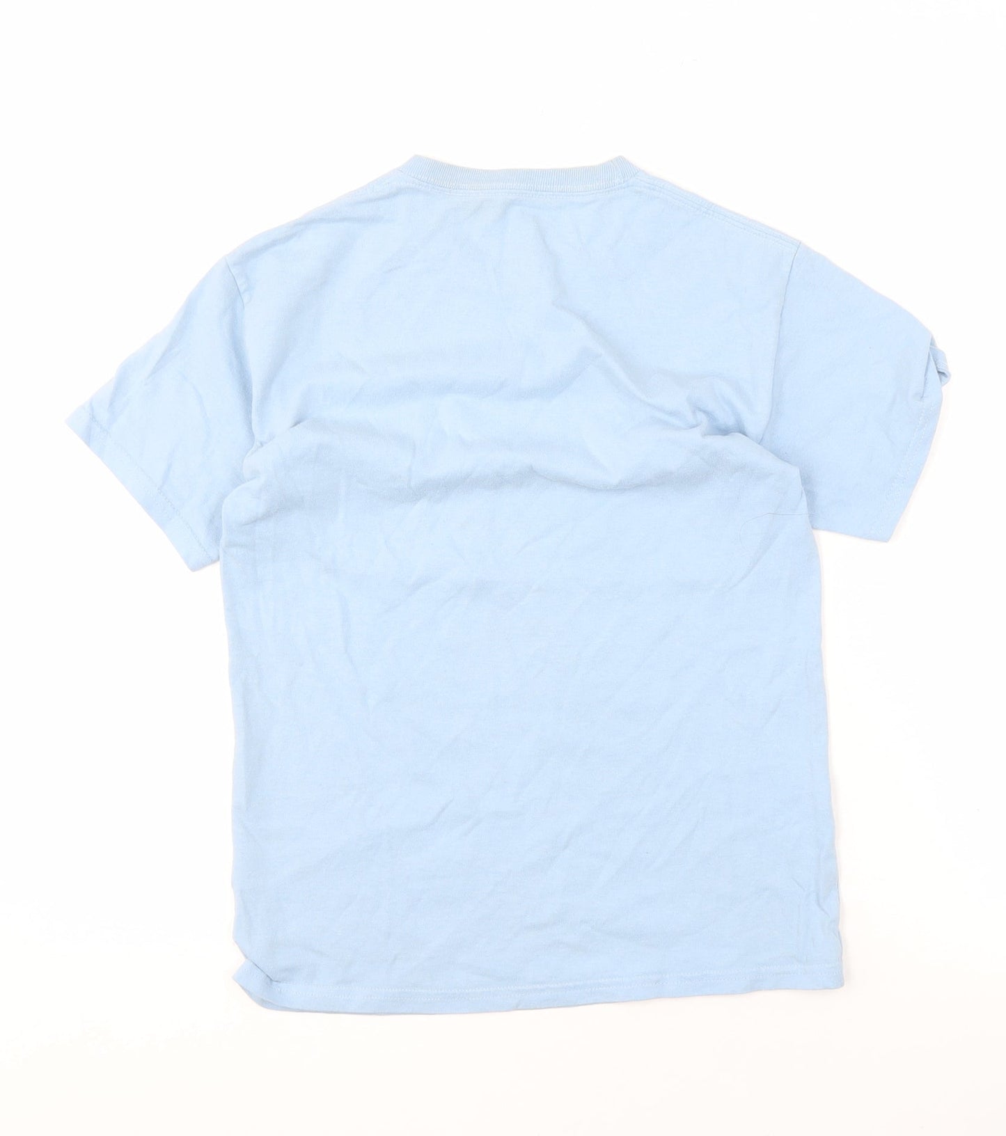 Hanes Unisex Adults Blue Basic T-Shirt M