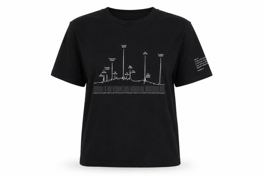 Universal Womens Black Medium Crew Neck T-Shirt