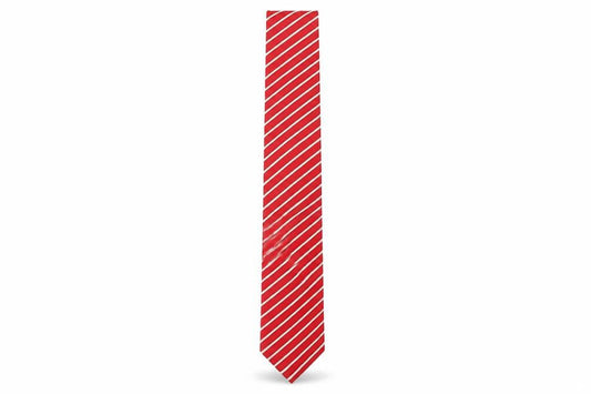 Charles Tyrwhitt Men’s Red Striped Silk Tie