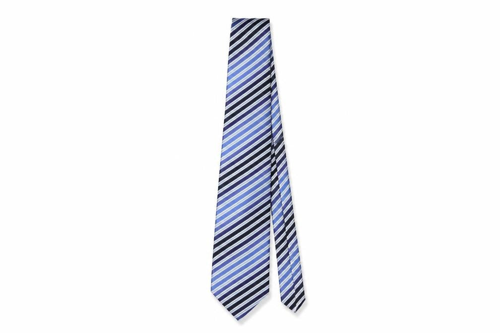 Dehavilland Men's Blue Striped Silk Tie