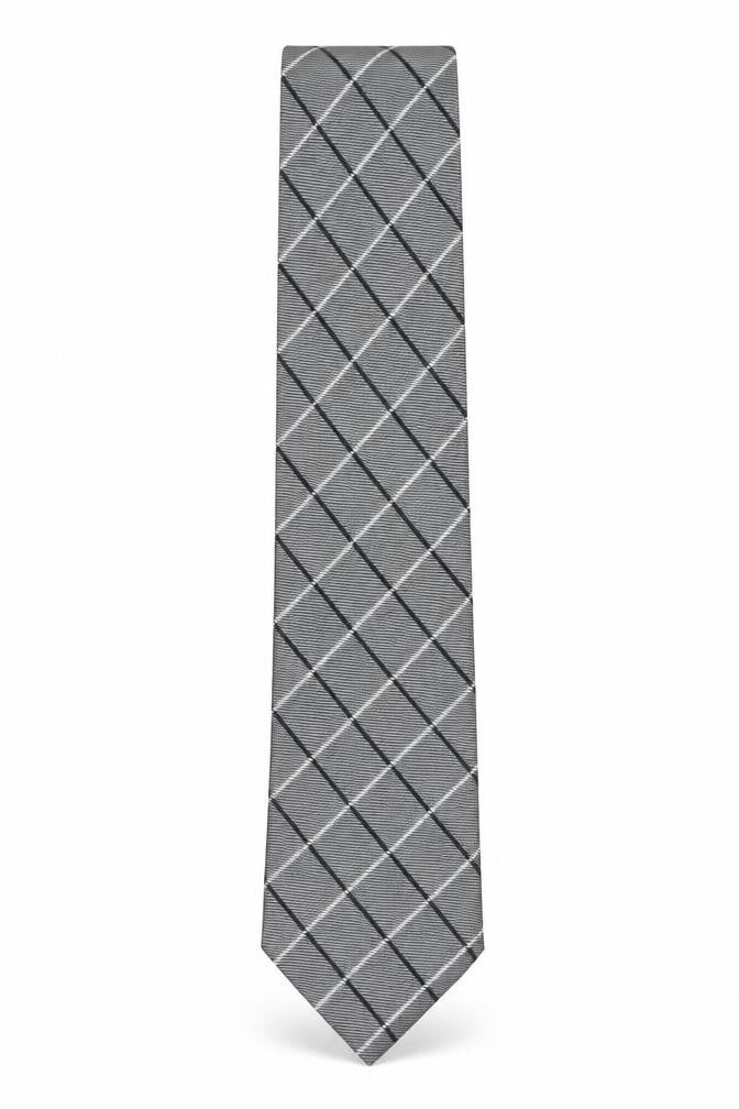 The Collection Men's Grey Plaid Silk Tie, One Size