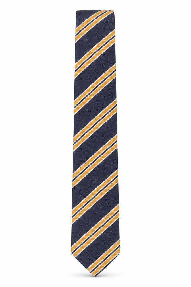 Venetto Collection Men's Blue Striped Tie