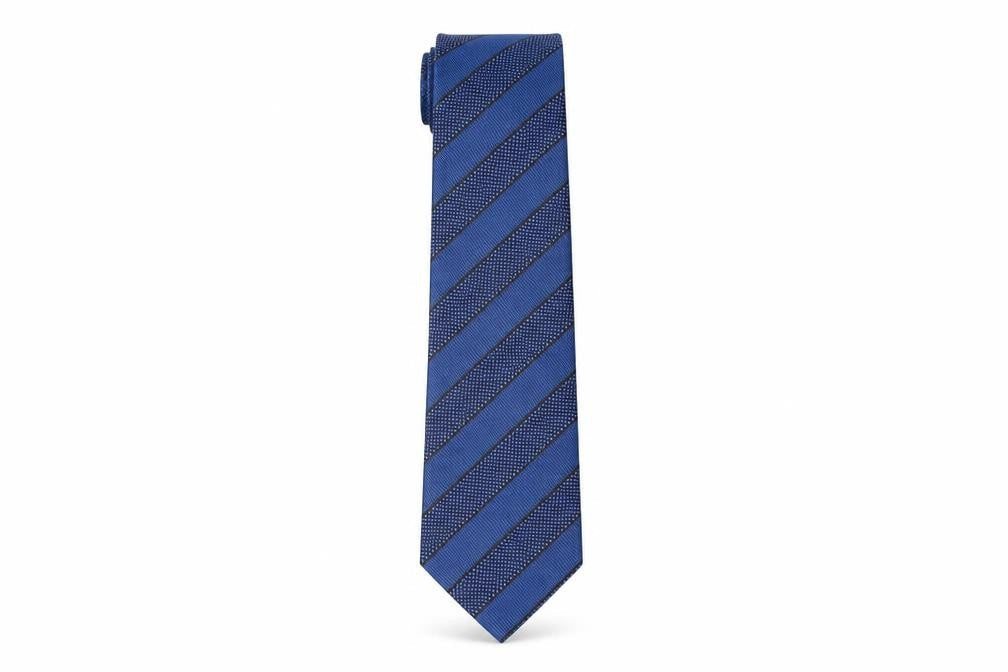 Satya Paul Men's Blue Striped Designer Tie