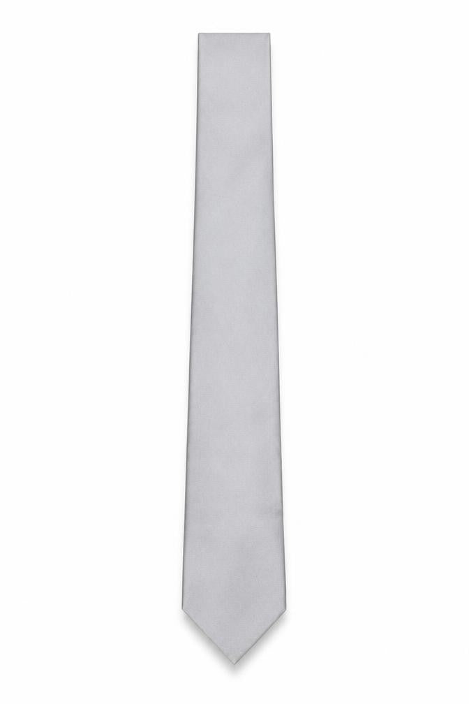 Pierre Cardin Silver Silk Men's Tie