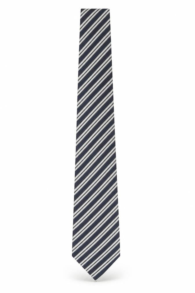 Canali Men's Blue Striped Silk Tie