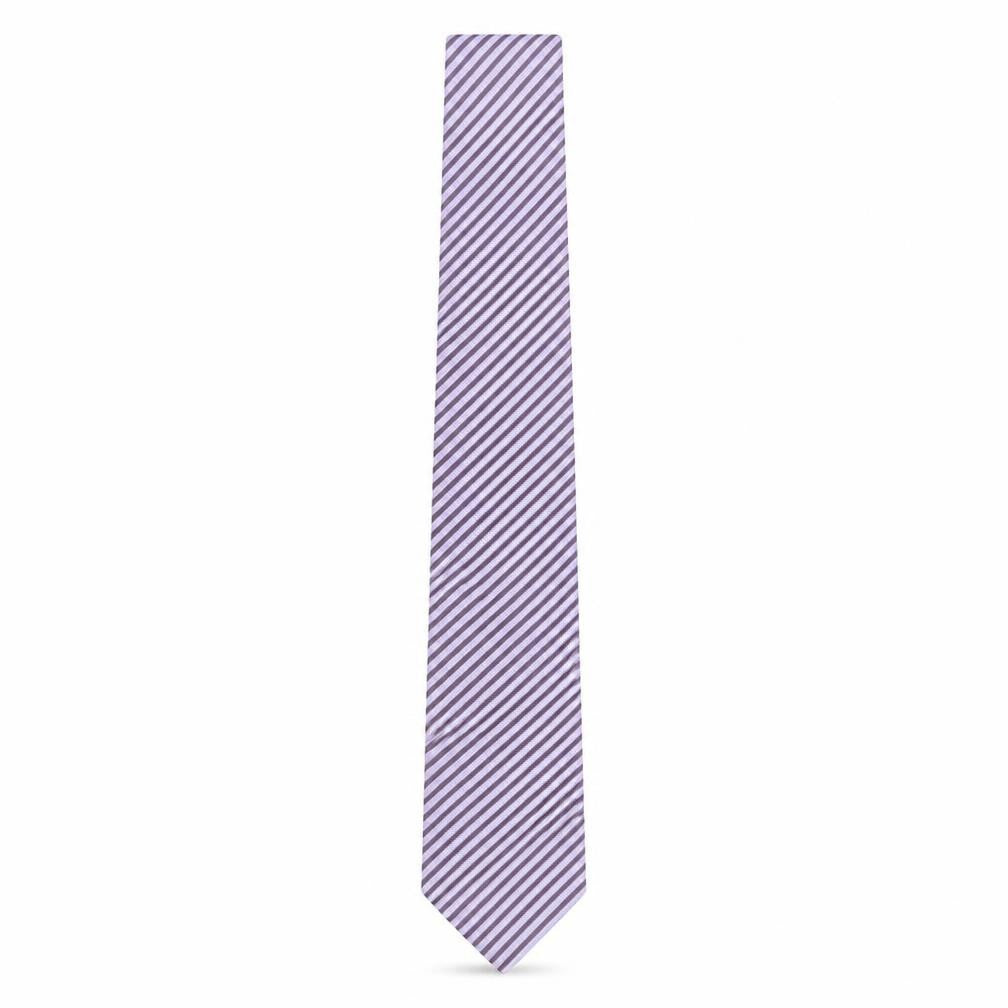 Giorgio Armani Men's Purple Striped Silk Tie