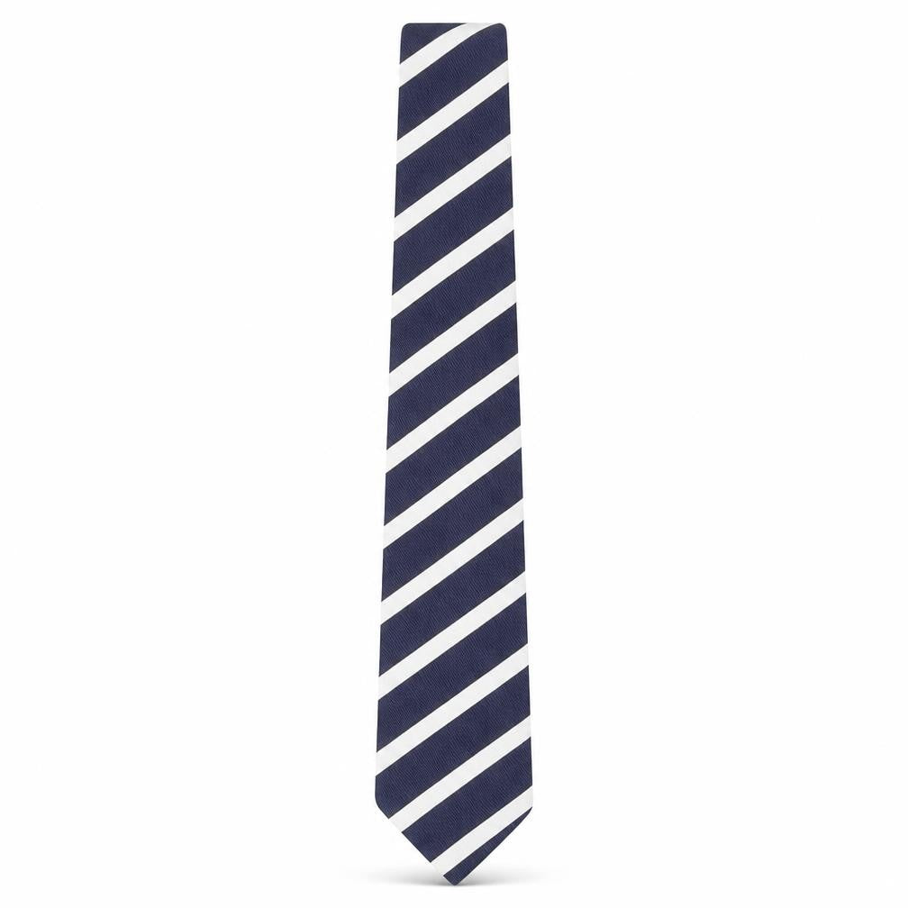 Berwin & Berwin Men's Blue Striped Silk Tie
