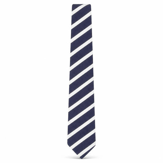 Berwin & Berwin Men's Blue Striped Silk Tie