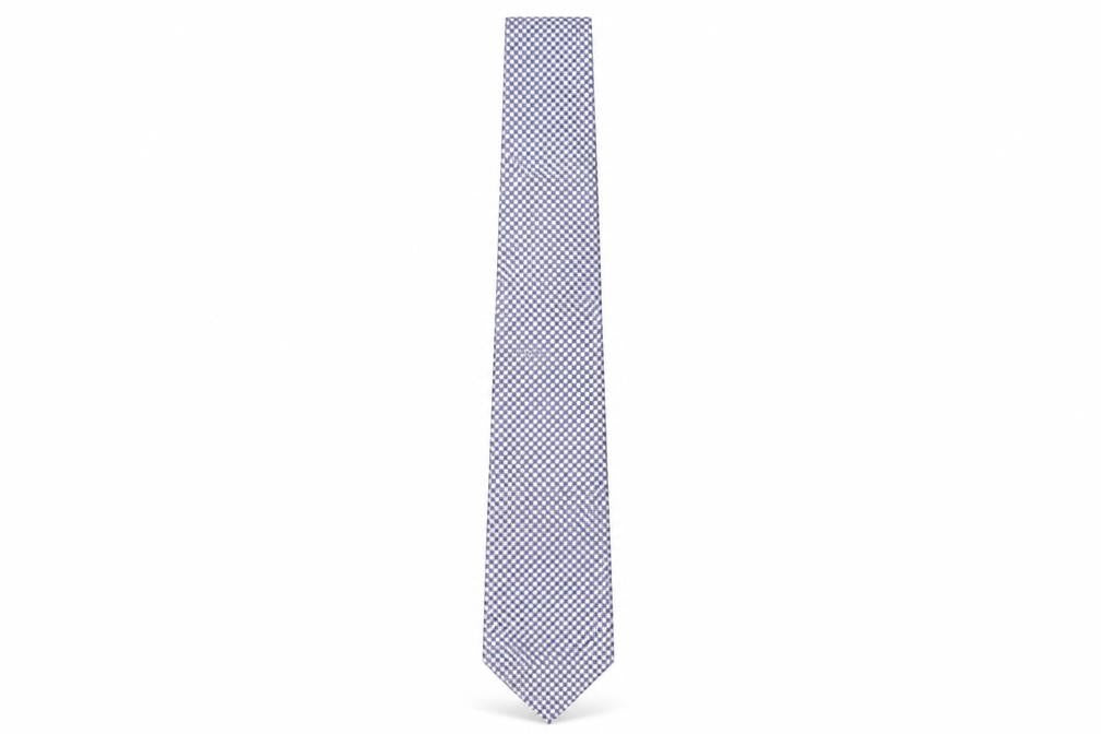 Charles Tyrwhitt Men's Blue Check Silk Tie