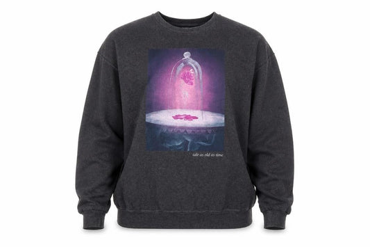 Disney Princess Women's Grey 2XL Pullover Sweatshirt