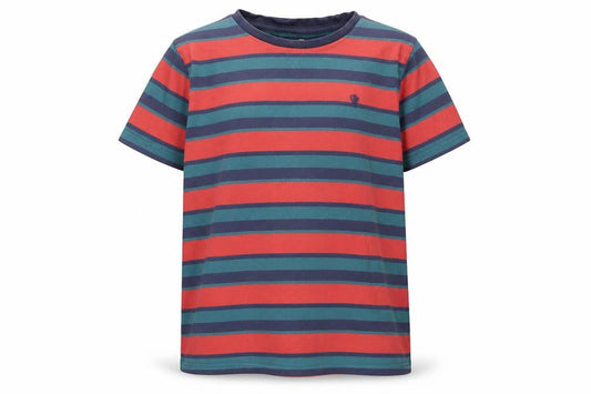 FatFace Boys Multicoloured Striped T-Shirt 9-10 Years